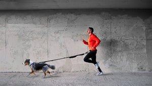 FITLY Running Belt + Dog Leash - BLUE