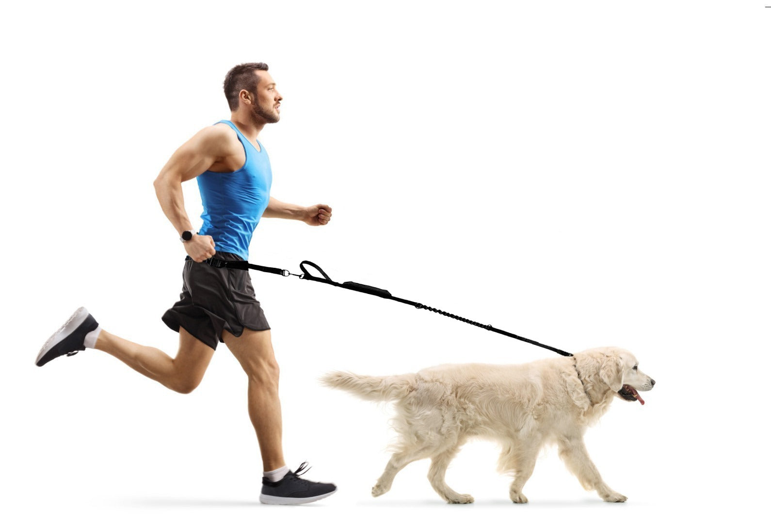 Running Belt + Dog Leash